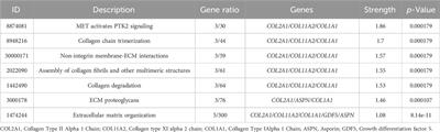 Molecular mechanisms and genetic factors contributing to the developmental dysplasia of the hip